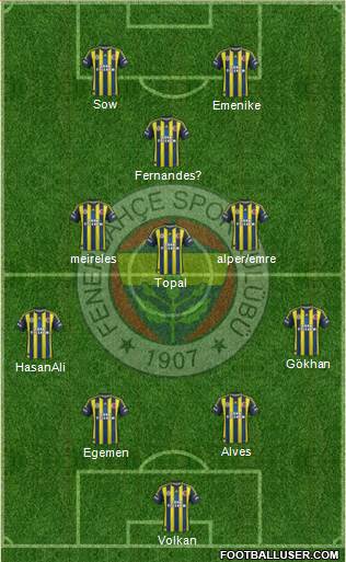 Fenerbahçe SK Formation 2013