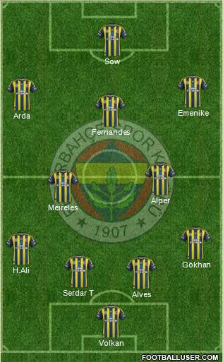 Fenerbahçe SK Formation 2013