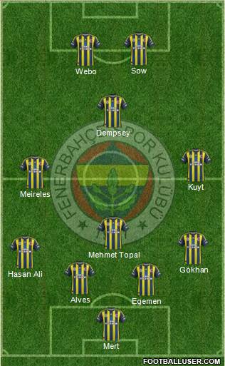 Fenerbahçe SK Formation 2013