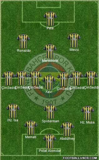 Fenerbahçe SK Formation 2013