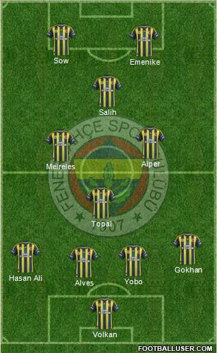 Fenerbahçe SK Formation 2013