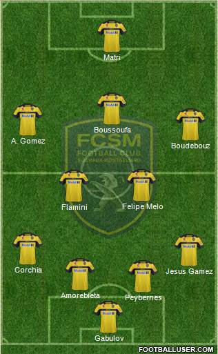 FC Sochaux-Montbéliard Formation 2013