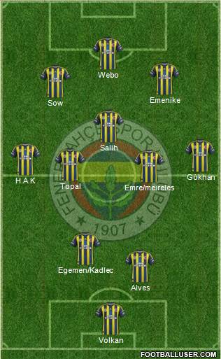 Fenerbahçe SK Formation 2013