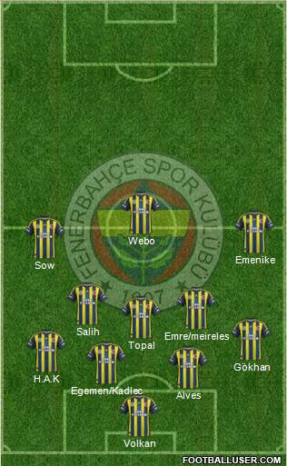 Fenerbahçe SK Formation 2013