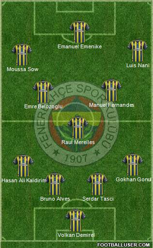 Fenerbahçe SK Formation 2013