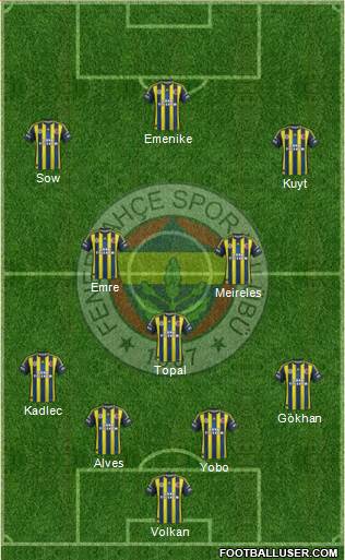 Fenerbahçe SK Formation 2013