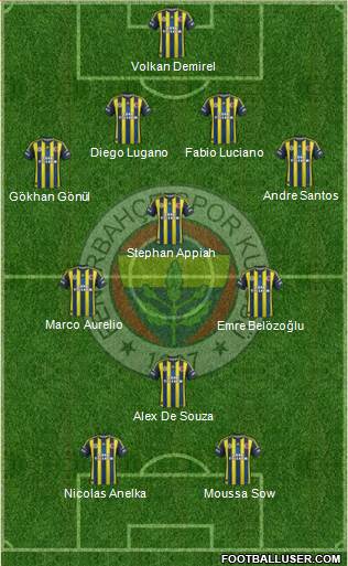 Fenerbahçe SK Formation 2013