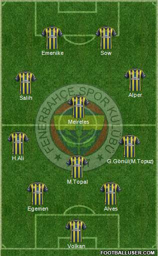 Fenerbahçe SK Formation 2013