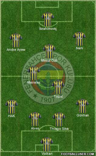 Fenerbahçe SK Formation 2013