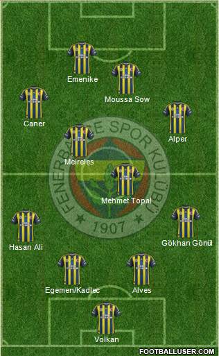 Fenerbahçe SK Formation 2013