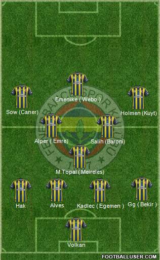 Fenerbahçe SK Formation 2013