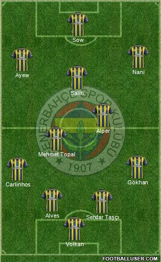 Fenerbahçe SK Formation 2013