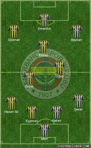 Fenerbahçe SK Formation 2013