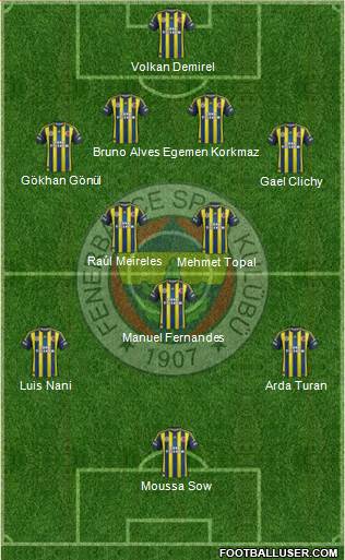 Fenerbahçe SK Formation 2013