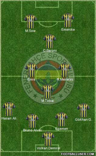 Fenerbahçe SK Formation 2013