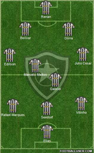 Botafogo FR Formation 2013