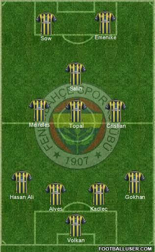 Fenerbahçe SK Formation 2013