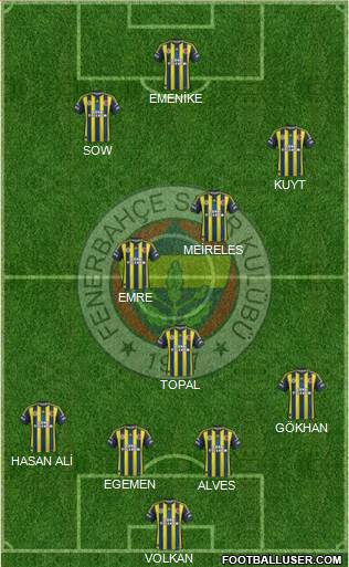 Fenerbahçe SK Formation 2013