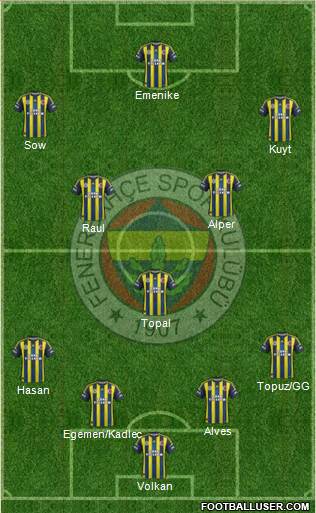 Fenerbahçe SK Formation 2013