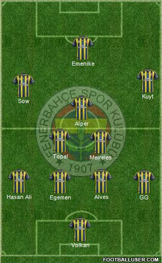 Fenerbahçe SK Formation 2013