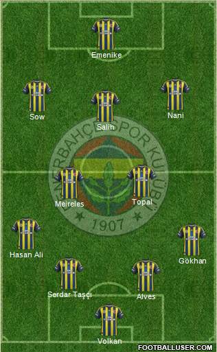 Fenerbahçe SK Formation 2013