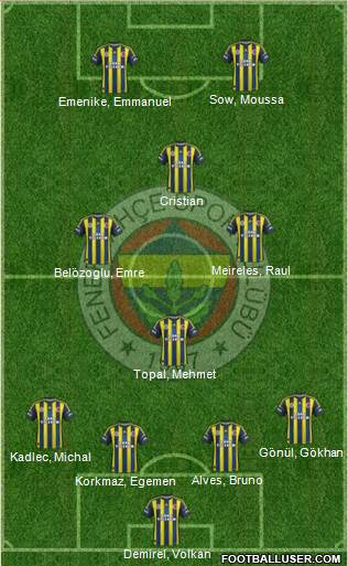 Fenerbahçe SK Formation 2013