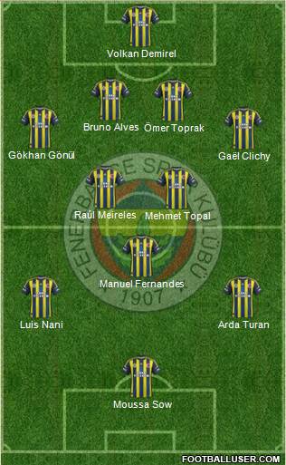 Fenerbahçe SK Formation 2013