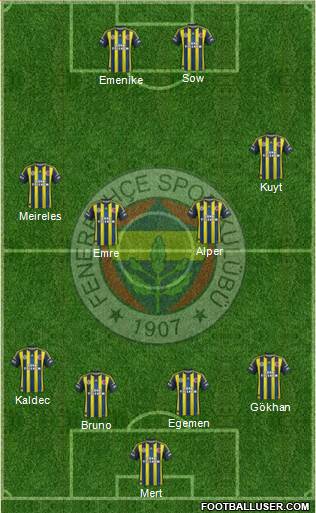 Fenerbahçe SK Formation 2013