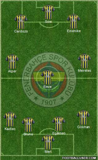 Fenerbahçe SK Formation 2013