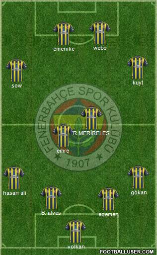 Fenerbahçe SK Formation 2013