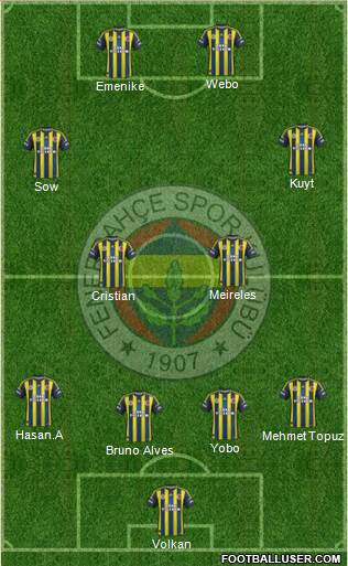 Fenerbahçe SK Formation 2013