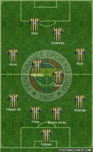 Fenerbahçe SK Formation 2013