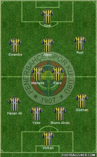 Fenerbahçe SK Formation 2013