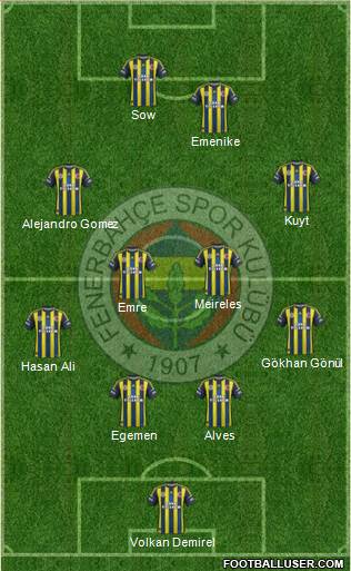 Fenerbahçe SK Formation 2013