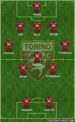 Torino Formation 2013