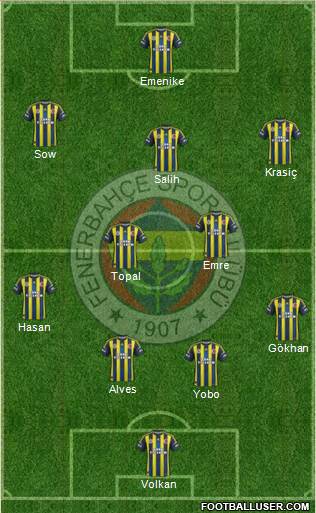 Fenerbahçe SK Formation 2013