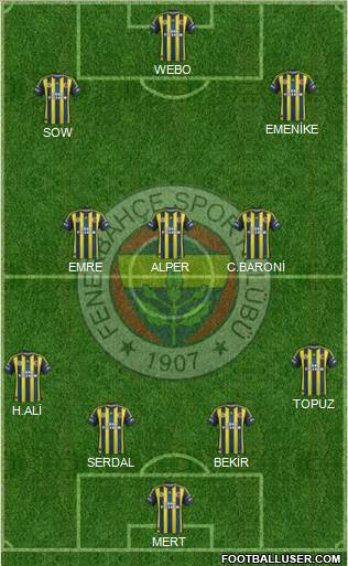 Fenerbahçe SK Formation 2013