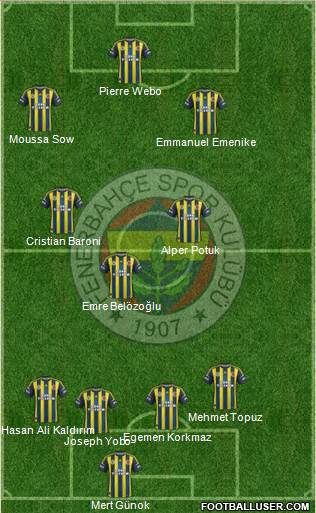 Fenerbahçe SK Formation 2013