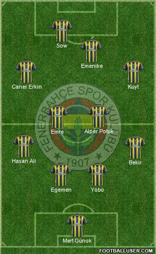 Fenerbahçe SK Formation 2013