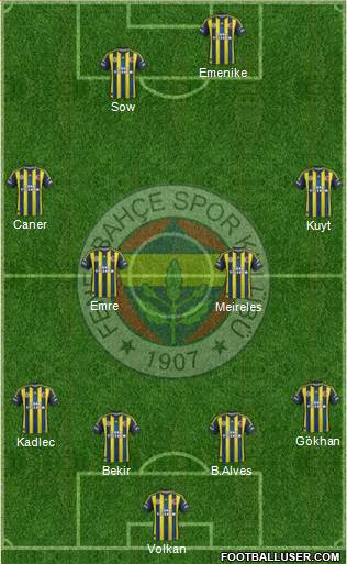 Fenerbahçe SK Formation 2013