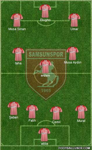 Samsunspor Formation 2013