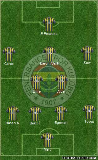 Fenerbahçe SK Formation 2013