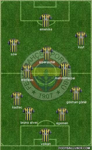 Fenerbahçe SK Formation 2013