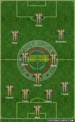 Fenerbahçe SK Formation 2013