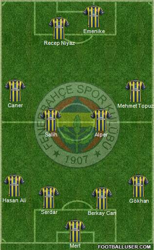 Fenerbahçe SK Formation 2013