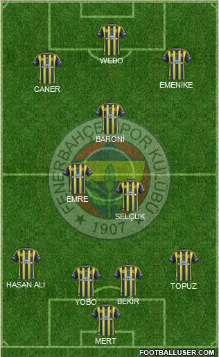 Fenerbahçe SK Formation 2013