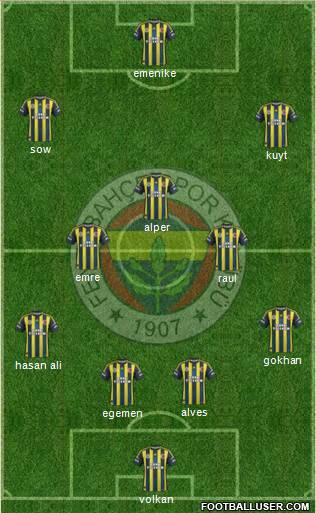 Fenerbahçe SK Formation 2013