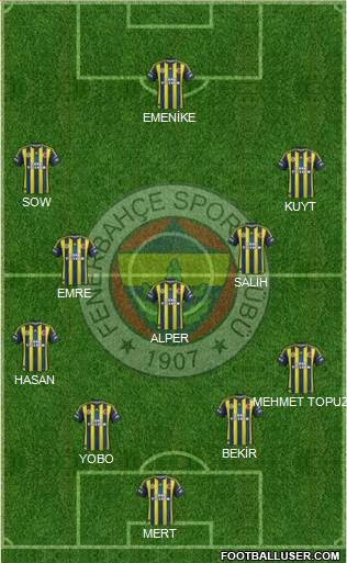 Fenerbahçe SK Formation 2013