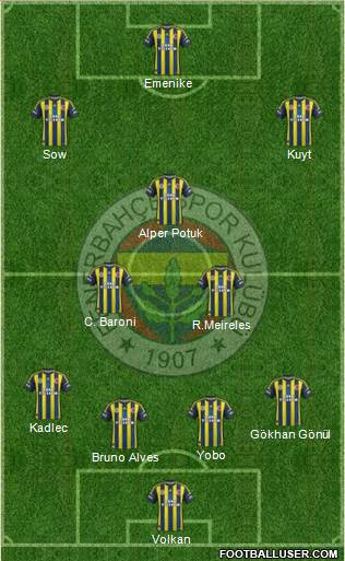 Fenerbahçe SK Formation 2013