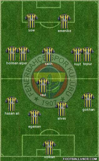 Fenerbahçe SK Formation 2013